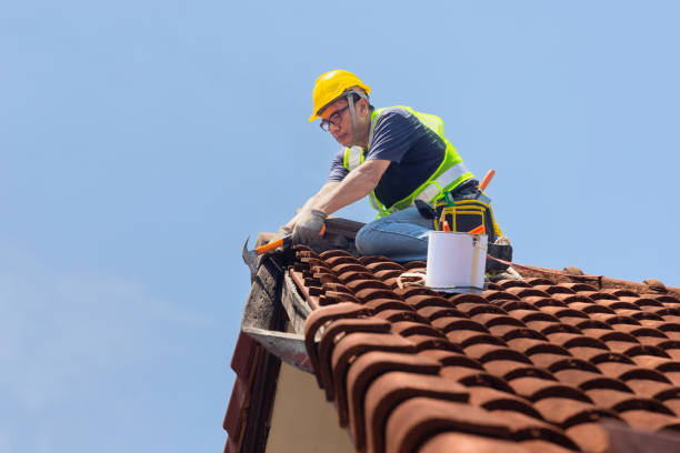 Best Chimney Flashing Repair  in Nowthen, MN